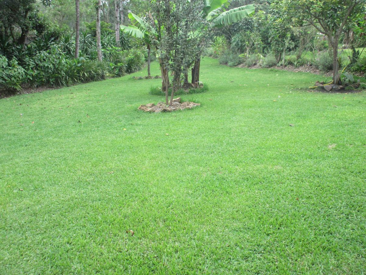 Kilimanjaro Eco Lodge Usa River ภายนอก รูปภาพ
